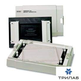 Система полусухого блоттинга, Trans-Blot SD Semy-Dry Transfer Cell, площадь, 240х160 мм, Bio-Rad (ан