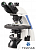 Микроскоп тринокуляр, Infinite Plan High Contrast Chromatic-free 4×, 10×, 40×, 100×, B-300-T, Биомед