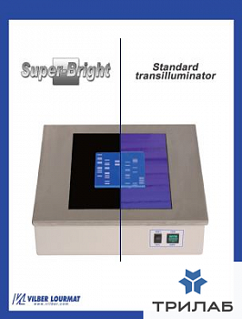 Трансиллюминатор, 312 нм, 210х260 мм, стандартный, лампы 6х8 Вт, Super-Bright, ECX-F26.MX V1, Vilber