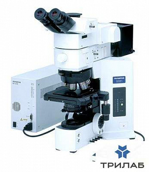 Микроскоп BX-61, прямой, СП, ТП, ФК, ДИК, поляризация, флуоресценция, от 1.25х до 100х, Olympus