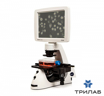 Система визуализации Evos XL Core, подвижный столик с препаратоводителем, 4 объектива (4х, 10х, 20х,