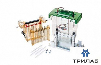 Аппарат для ИЭФ Protean II xi 2D Cell, 20 см, распорки 1,5 мм, Bio-Rad 1651934