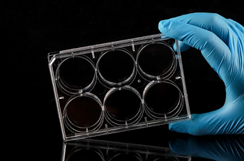 6-луночный планшет для клеточной культуры, необработанный, стерильный, 10 шт/упак.