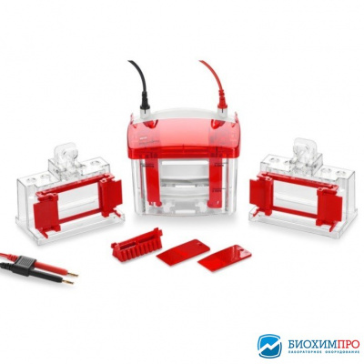 Электрофорезная вертикальная камера WIX-miniPRO2, 1-2 геля, 10×8 см, заливочный столик, WIX (аналоги