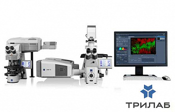 Микроскоп конфокальный LSM 710, лазерный сканирующий, Zeiss
