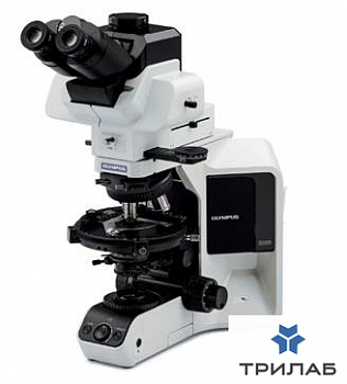 Микроскоп поляризационный Olympus BX53P, Olympus