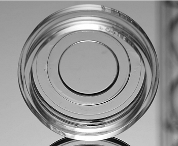Чашка для клеточной культуры со стеклянным дном, 15 мм, ТК, стерильная ,10 шт./упак