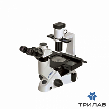 Микроскоп инвертированный XDS-403, Biobase, Китай